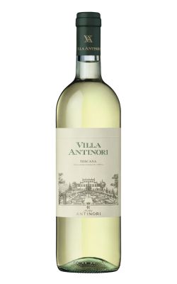 Villa Antinori Bianco 2024